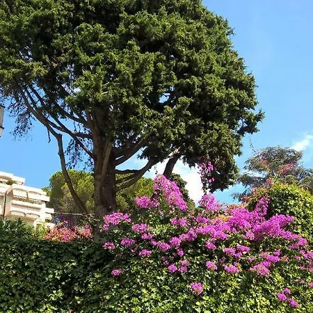 Art & Design Lägenhet